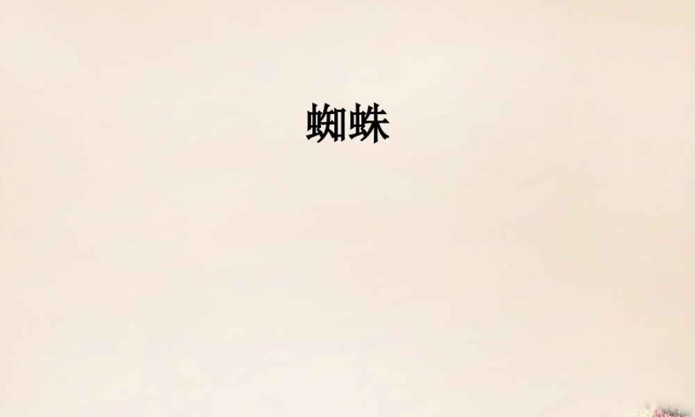 六年级语文下册《蜘蛛》课件3 长春版-长春版小学六年级下册语文课件