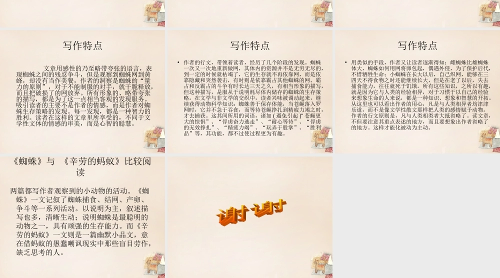 六年级语文下册《蜘蛛》课件3 长春版-长春版小学六年级下册语文课件