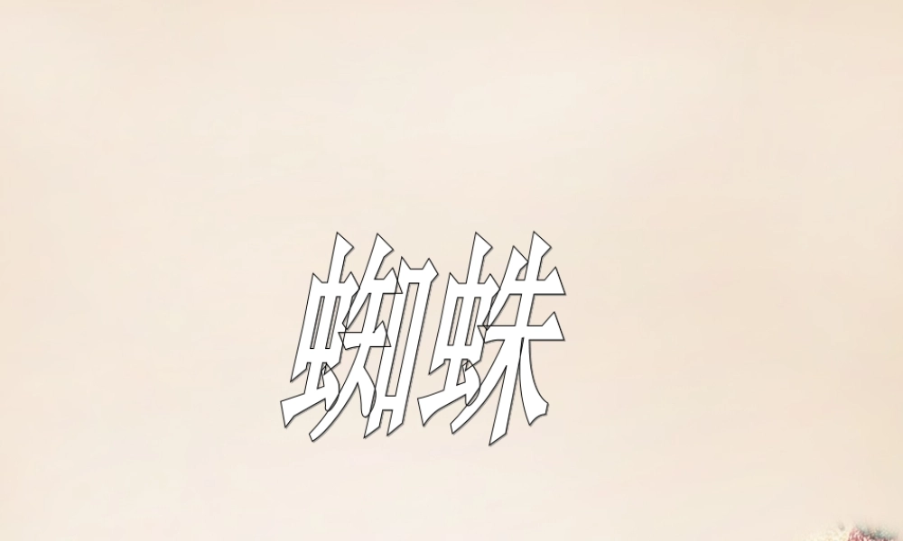 六年级语文下册《蜘蛛》课件4 长春版-长春版小学六年级下册语文课件