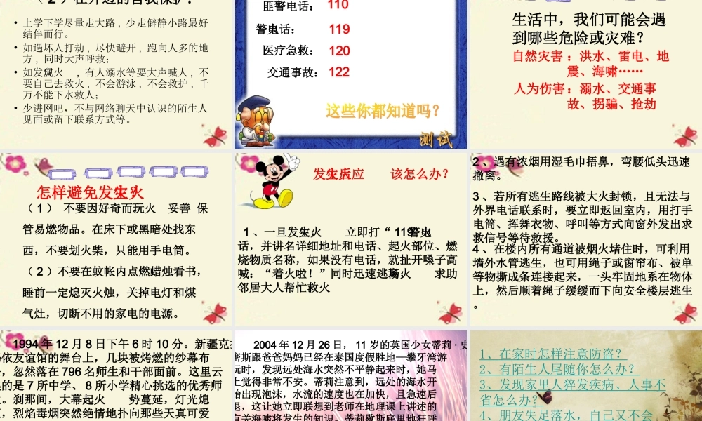 六年级语文下册 习作四《学会生存》课件3 新人教版-新人教版小学六年级下册语文课件