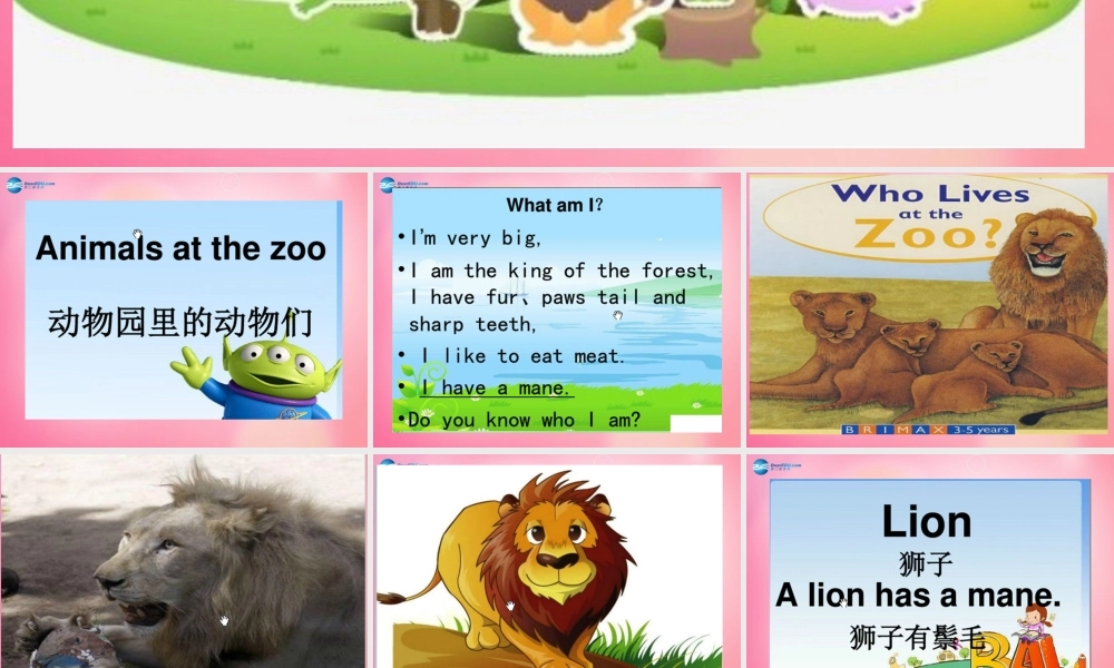 四年级英语上册 Unit 4 Animals at the Zoo lessson25 Lions and tigers课件 冀教版（三起）-冀教版小学四年级上册英语课件