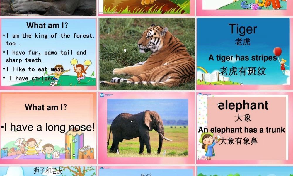 四年级英语上册 Unit 4 Animals at the Zoo lessson25 Lions and tigers课件 冀教版（三起）-冀教版小学四年级上册英语课件