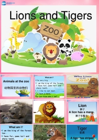 四年级英语上册 Unit 4 Animals at the Zoo lessson25 Lions and tigers课件 冀教版（三起）-冀教版小学四年级上册英语课件
