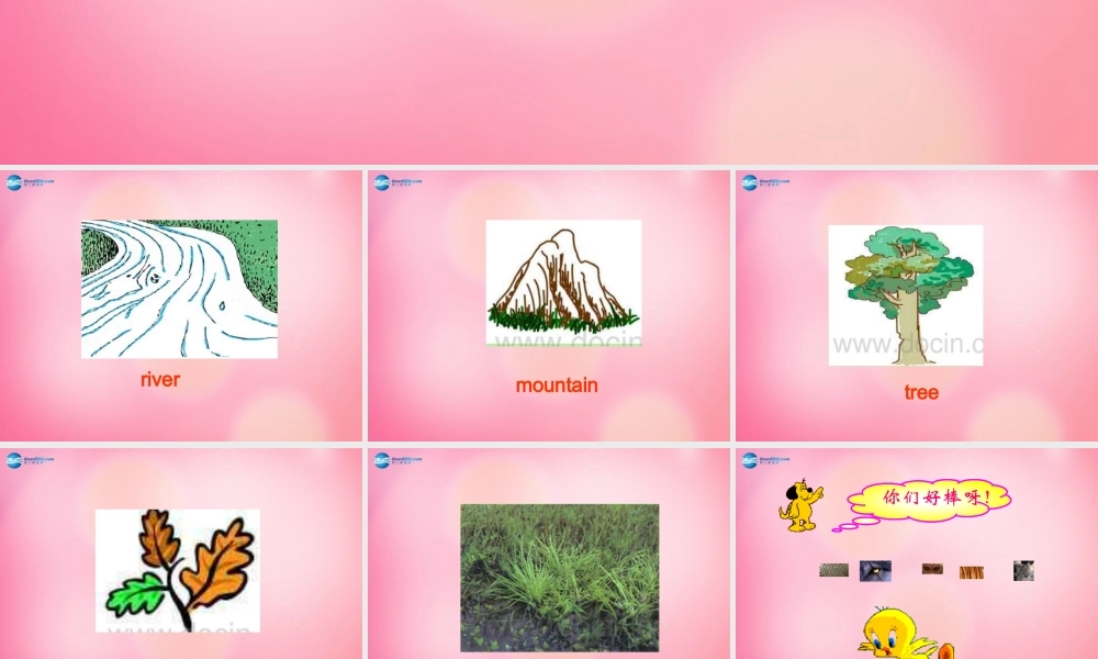 四年级英语上册 Unit 4 Animals at the Zoo lessson28 The monkey judge课件 冀教版（三起）-冀教版小学四年级上册英语课件