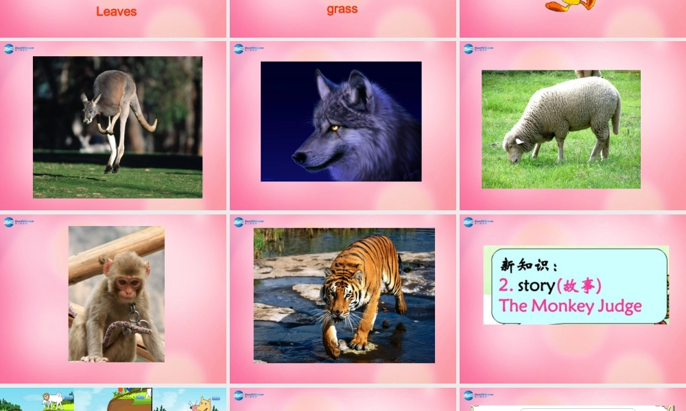 四年级英语上册 Unit 4 Animals at the Zoo lessson28 The monkey judge课件 冀教版（三起）-冀教版小学四年级上册英语课件