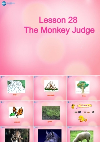 四年级英语上册 Unit 4 Animals at the Zoo lessson28 The monkey judge课件 冀教版（三起）-冀教版小学四年级上册英语课件