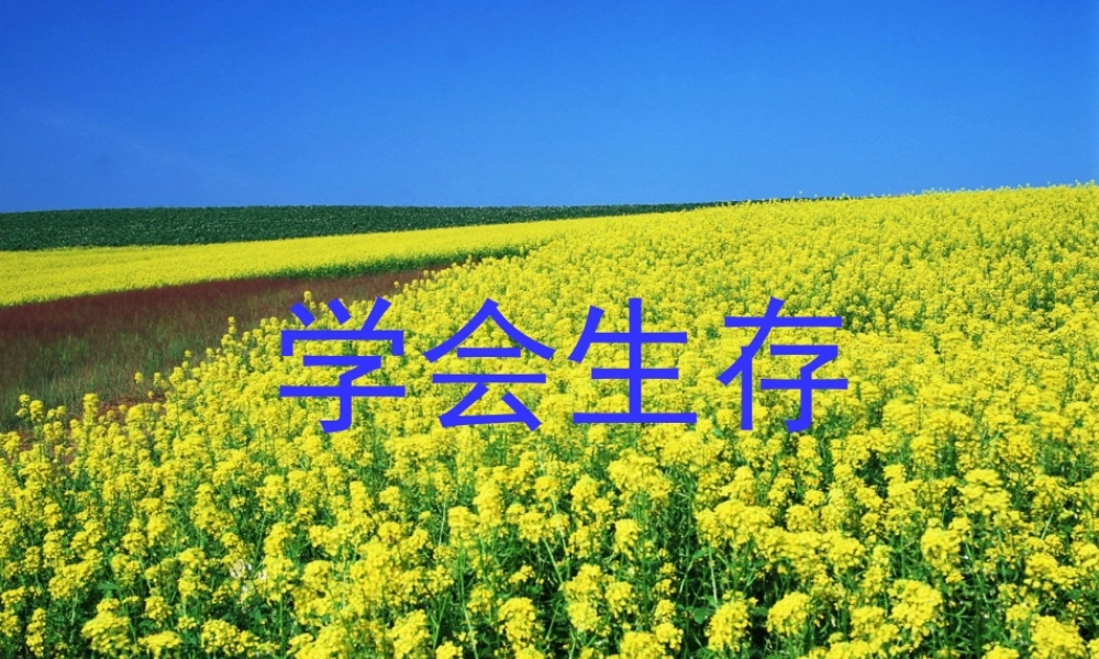 六年级语文下册 习作四《学会生存》课件5 新人教版-新人教版小学六年级下册语文课件