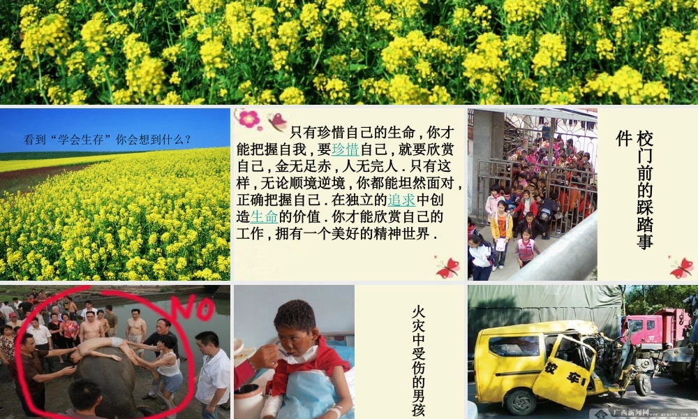 六年级语文下册 习作四《学会生存》课件5 新人教版-新人教版小学六年级下册语文课件