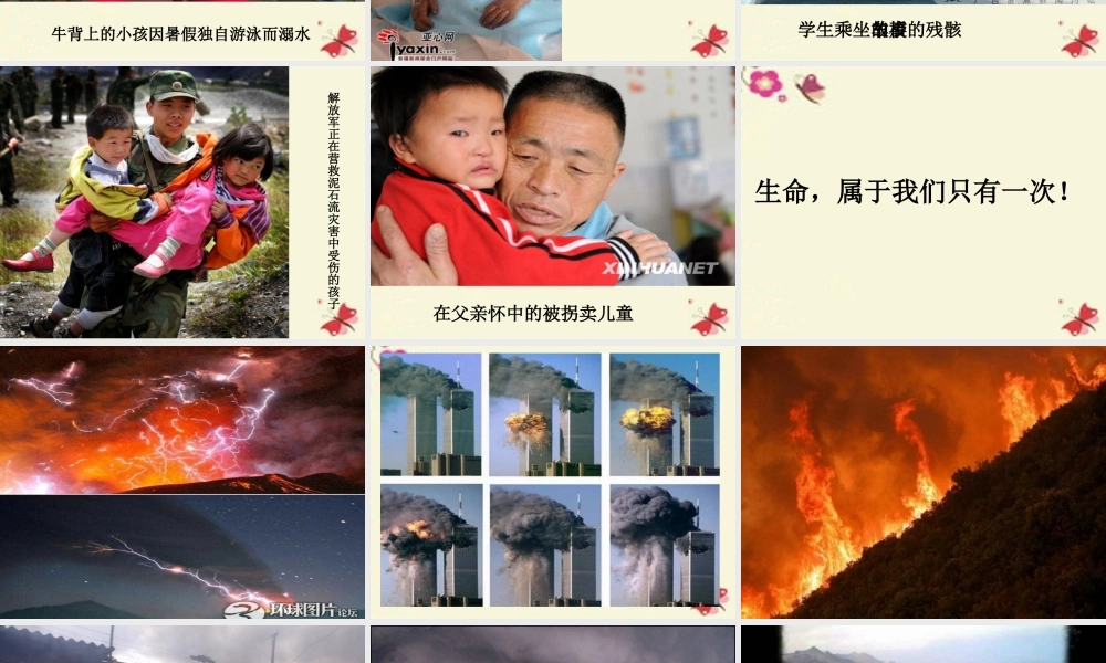 六年级语文下册 习作四《学会生存》课件5 新人教版-新人教版小学六年级下册语文课件