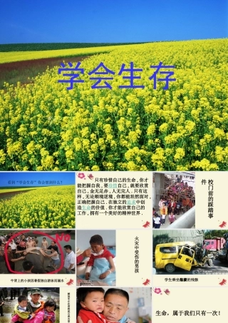 六年级语文下册 习作四《学会生存》课件5 新人教版-新人教版小学六年级下册语文课件