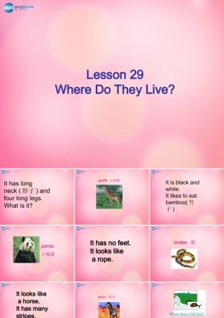 四年级英语上册 Unit 4 Animals at the Zoo lessson29 Where do they live课件 冀教版（三起）-冀教版小学四年级上册英语课件