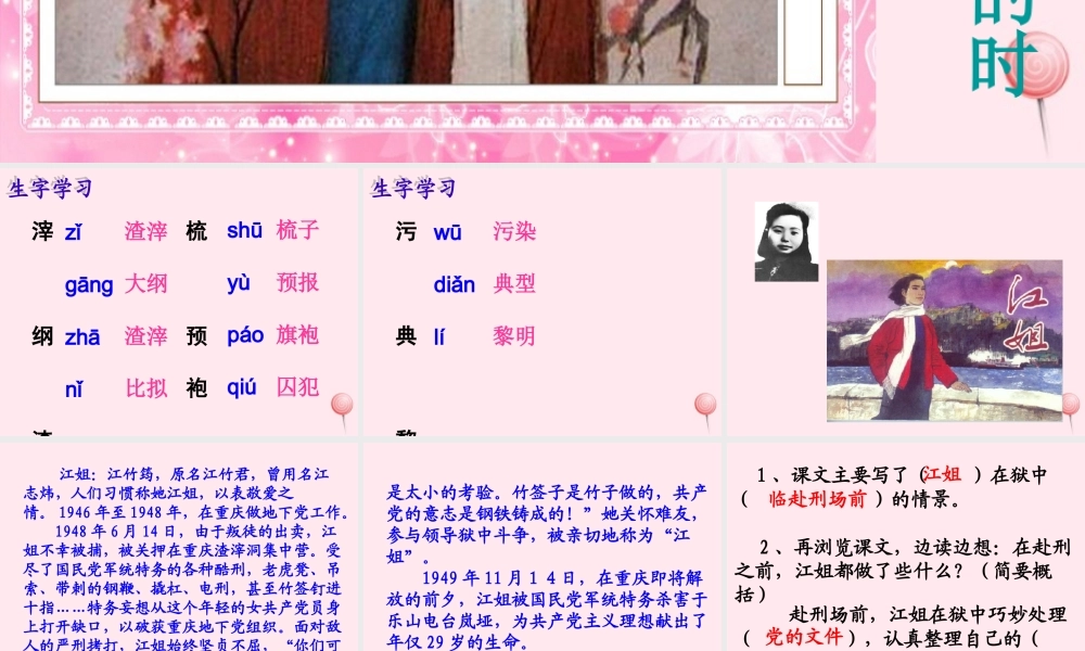 六年级语文下册《最后的时刻》教学课件（简要参考）