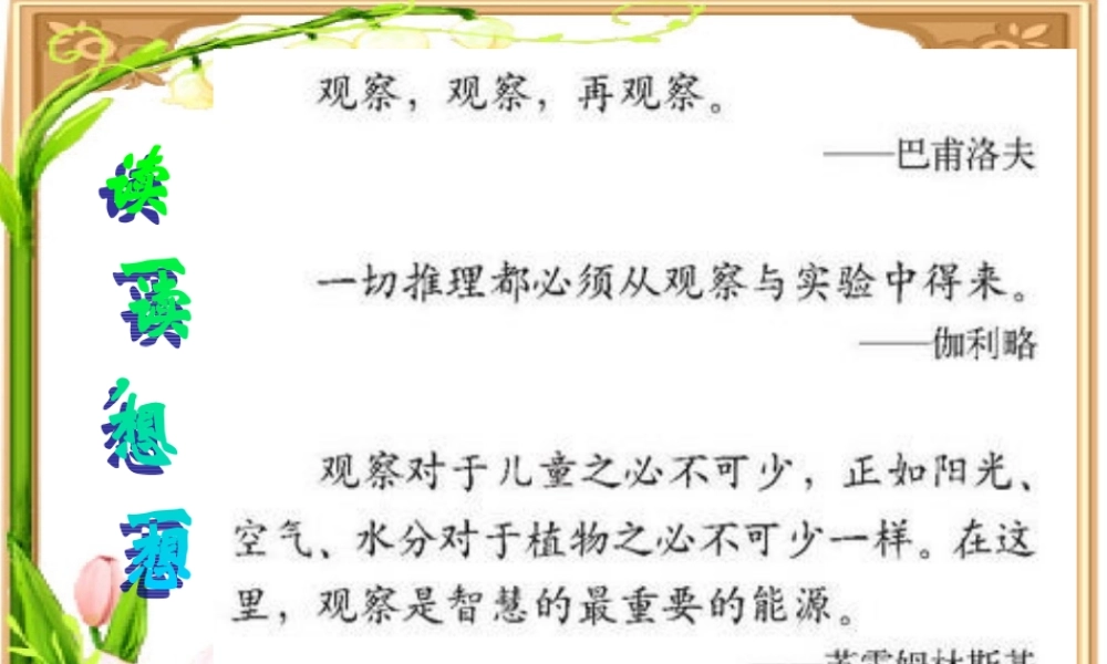六年级语文下册 习作四《一个有趣的实验》课件1 苏教版-苏教版小学六年级下册语文课件