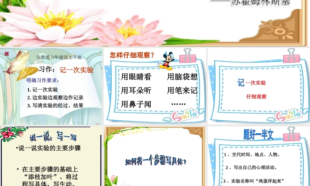 六年级语文下册 习作四《一个有趣的实验》课件1 苏教版-苏教版小学六年级下册语文课件