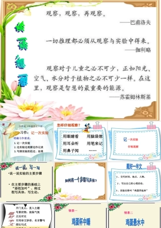 六年级语文下册 习作四《一个有趣的实验》课件1 苏教版-苏教版小学六年级下册语文课件