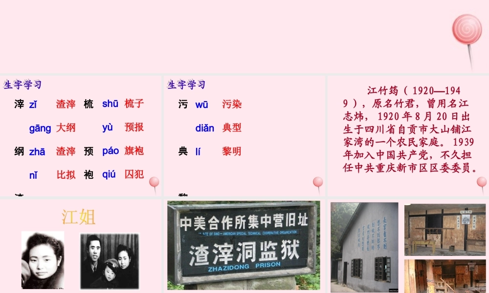 六年级语文下册《最后的时刻》教学课件（详细讲解）