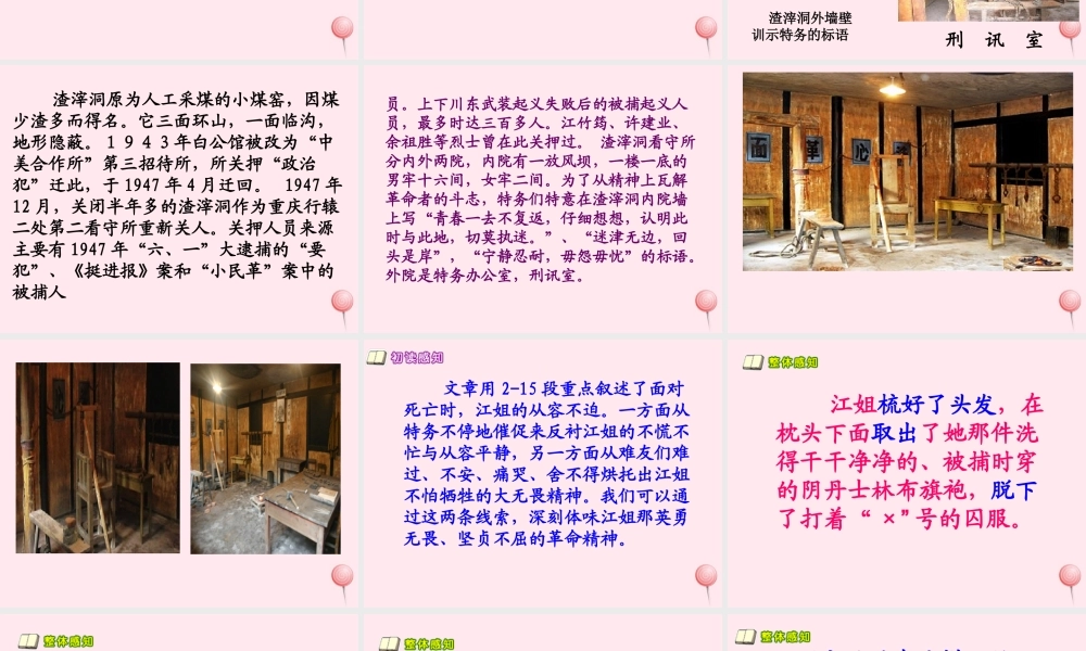 六年级语文下册《最后的时刻》教学课件（详细讲解）