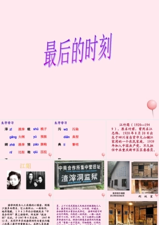 六年级语文下册《最后的时刻》教学课件（详细讲解）