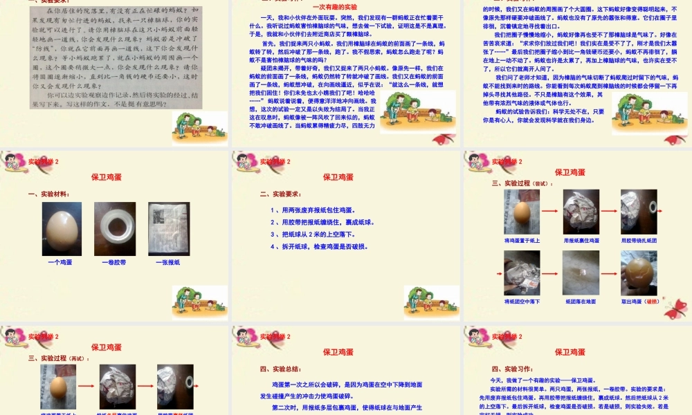 六年级语文下册 习作四《一个有趣的实验》课件2 苏教版-苏教版小学六年级下册语文课件