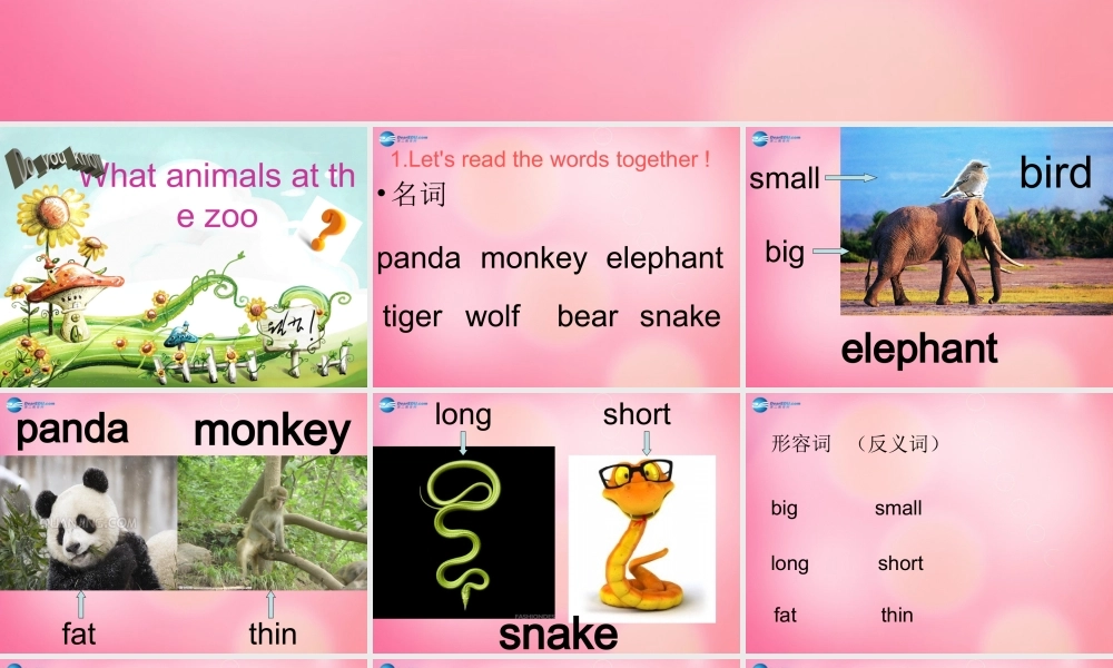 四年级英语上册 Unit 4 Animals at the Zoo lessson32 Again,please课件 冀教版（三起）-冀教版小学四年级上册英语课件