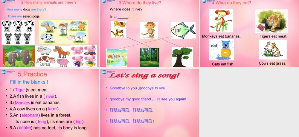 四年级英语上册 Unit 4 Animals at the Zoo lessson32 Again,please课件 冀教版（三起）-冀教版小学四年级上册英语课件