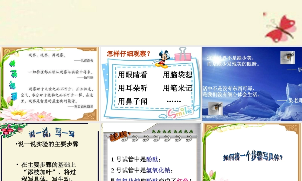 六年级语文下册 习作四《一个有趣的实验》课件4 苏教版-苏教版小学六年级下册语文课件