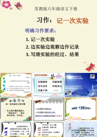 六年级语文下册 习作四《一个有趣的实验》课件4 苏教版-苏教版小学六年级下册语文课件
