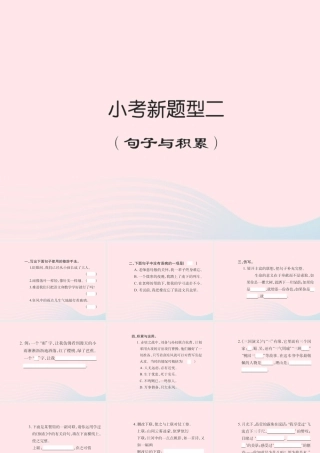 六年级语文下册 小考新题型二习题课件 新人教版-新人教版小学六年级下册语文课件