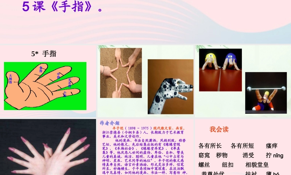 六年级语文下册 第一单元 5《手指》课件 新人教版-新人教版小学六年级下册语文课件