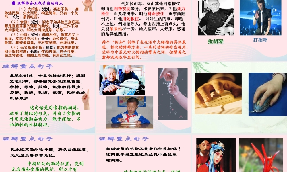 六年级语文下册 第一单元 5《手指》课件 新人教版-新人教版小学六年级下册语文课件