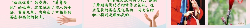 六年级语文下册 第一单元 5《手指》课件 新人教版-新人教版小学六年级下册语文课件