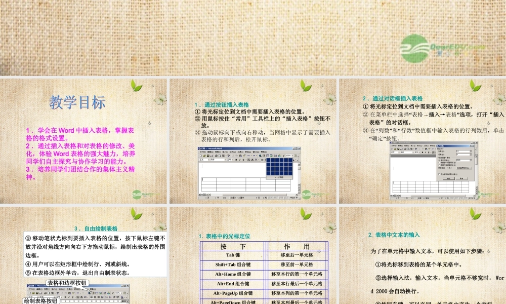 四年级信息技术上册 插入表格课件 龙教版