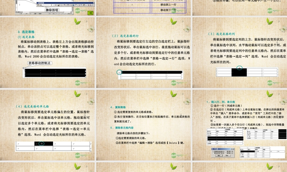 四年级信息技术上册 插入表格课件 龙教版