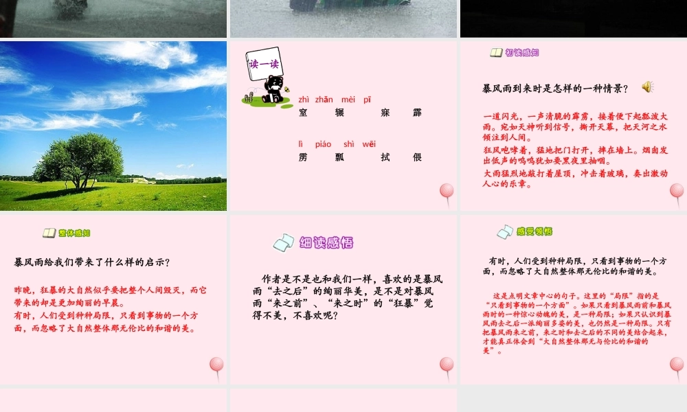 六年级语文下册 第五单元 第17课《暴风雨的启示》课件 西师大版-西师大版小学六年级下册语文课件