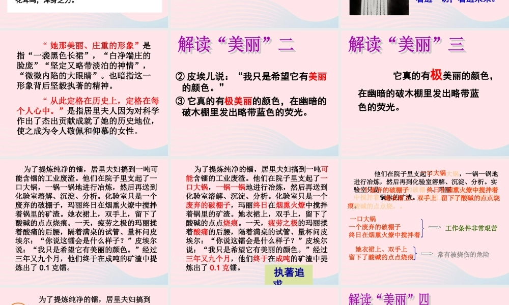 六年级语文下册 第五单元 第18课 跨越百年的美丽课件 新人教版-新人教版小学六年级下册语文课件