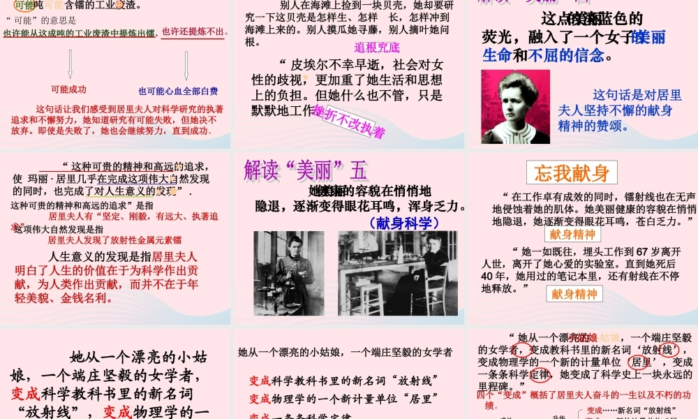 六年级语文下册 第五单元 第18课 跨越百年的美丽课件 新人教版-新人教版小学六年级下册语文课件