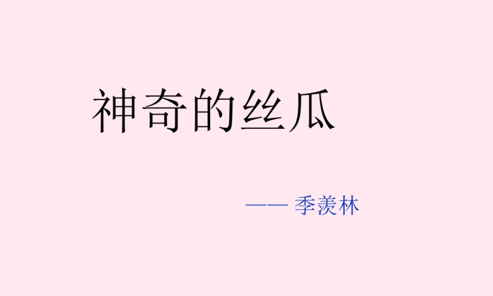 六年级语文下册 第五单元 第18课《神奇的丝瓜》课件 西师大版-西师大版小学六年级下册语文课件