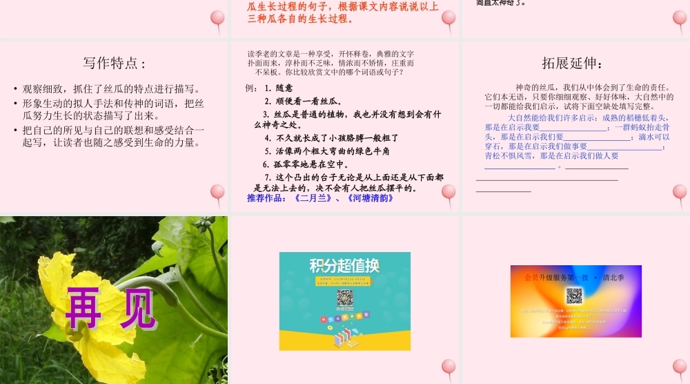 六年级语文下册 第五单元 第18课《神奇的丝瓜》课件 西师大版-西师大版小学六年级下册语文课件