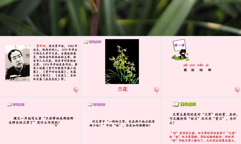 六年级语文下册 第五单元 第19课《访兰》课件 西师大版-西师大版小学六年级下册语文课件