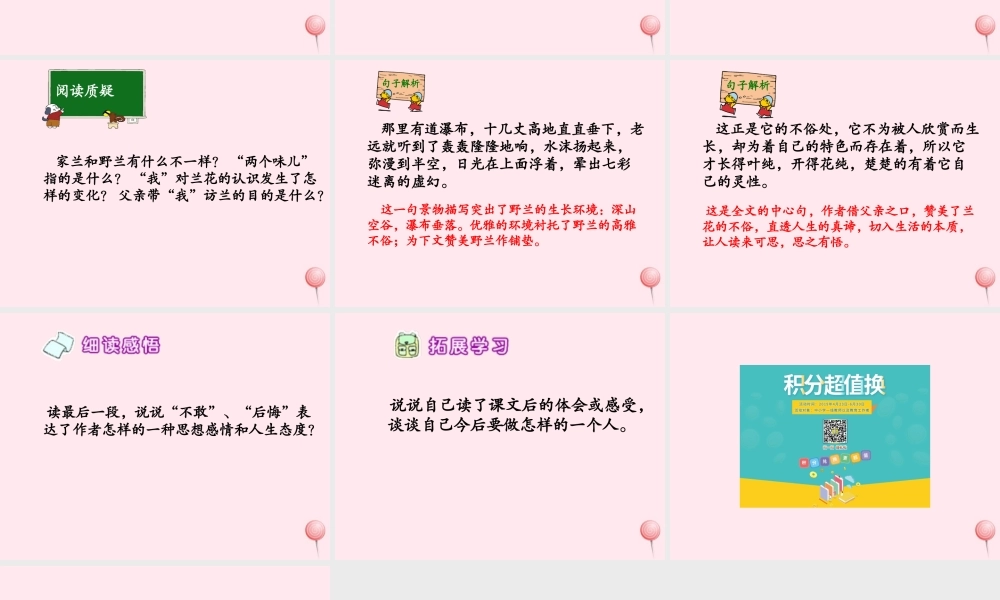 六年级语文下册 第五单元 第19课《访兰》课件 西师大版-西师大版小学六年级下册语文课件