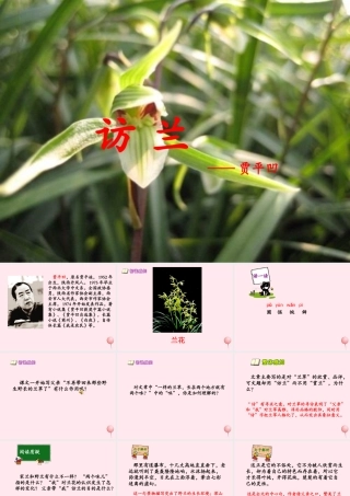 六年级语文下册 第五单元 第19课《访兰》课件 西师大版-西师大版小学六年级下册语文课件