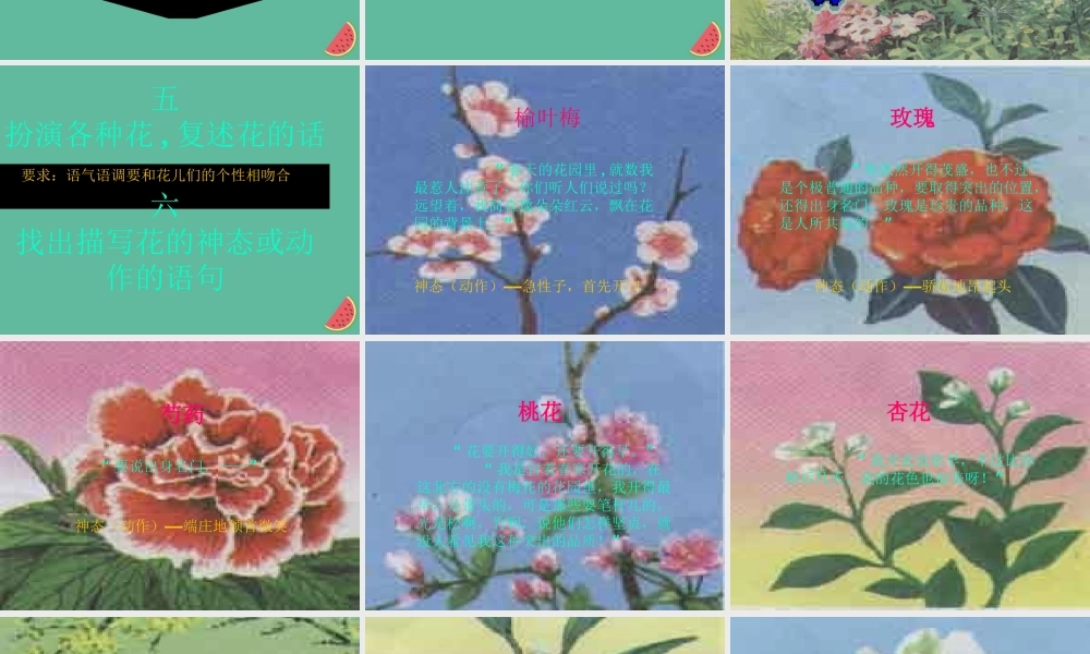 六年级语文下册 第一单元 春天来了 1.3 花的话课件1 沪教版五四制-沪教版小学六年级下册语文课件