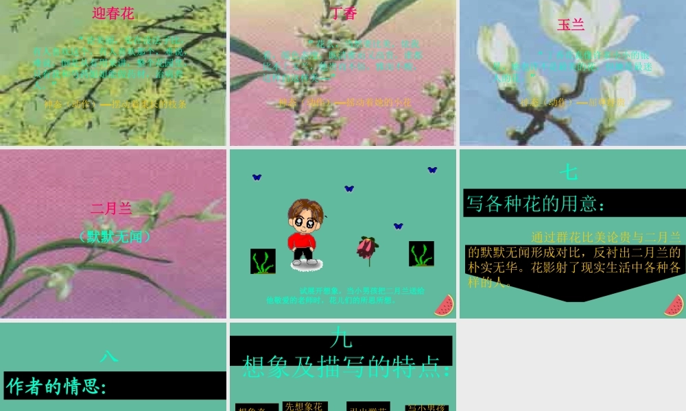 六年级语文下册 第一单元 春天来了 1.3 花的话课件1 沪教版五四制-沪教版小学六年级下册语文课件