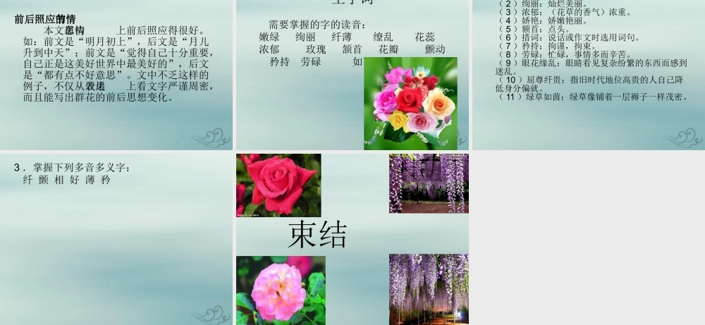 六年级语文下册 第一单元 春天来了 1.3 花的话课件2 沪教版五四制-沪教版小学六年级下册语文课件