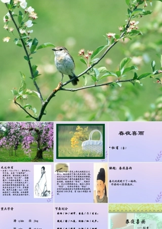 六年级语文下册 第一单元 春天来了 1.4 春之古韵课件4 沪教版五四制-沪教版小学六年级下册语文课件