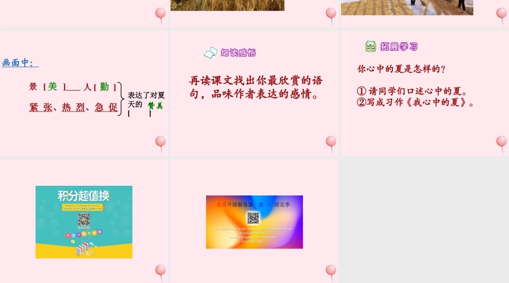 六年级语文下册 第一单元 第1课《夏》课件 西师大版-西师大版小学六年级下册语文课件