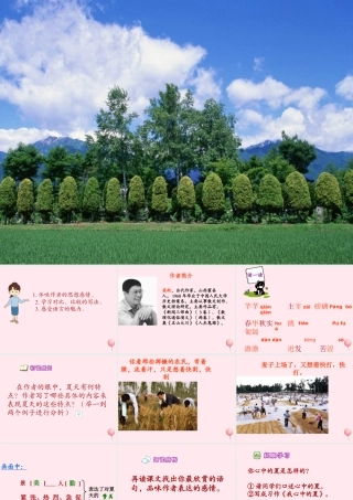 六年级语文下册 第一单元 第1课《夏》课件 西师大版-西师大版小学六年级下册语文课件