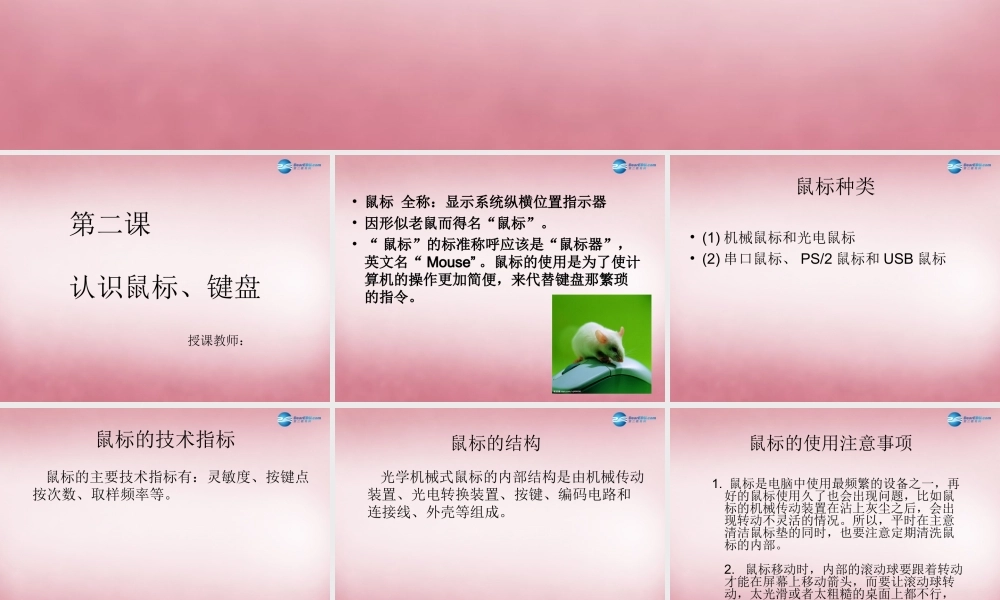 四年级信息技术上册 第2课 鼠标和键盘课件3 辽师大版（三起）