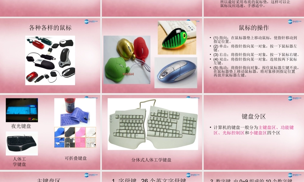 四年级信息技术上册 第2课 鼠标和键盘课件3 辽师大版（三起）