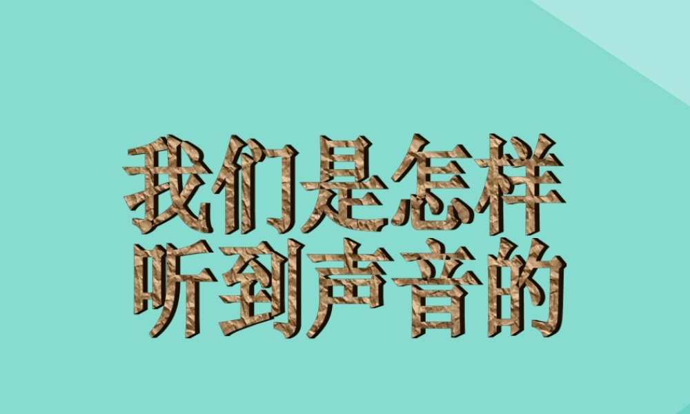 四年级科学上册 第1单元 声音 4《我们是怎样听到声音的》课件1 教科版-教科版小学四年级上册自然科学课件